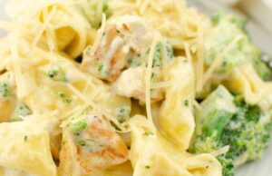 Cheesy Chicken Broccoli Tortellini Cheesy Chicken Broccoli Tortellini