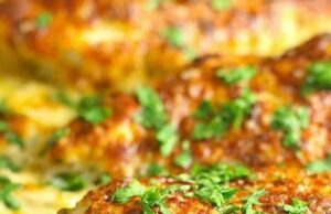 Smothered Cheesy Sour Cream Chicken Smothered Cheesy Sour Cream Chicken