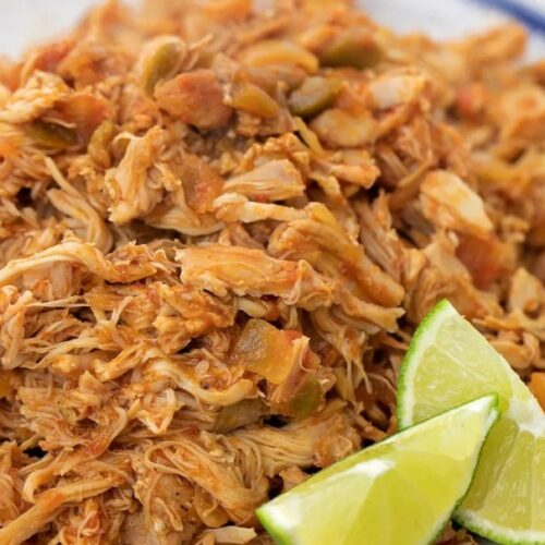 Instant Pot Salsa Chicken