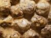 The Best Swedish Meatballs: An Easy, Cozy Dinner Recipe Swedish Meatballs