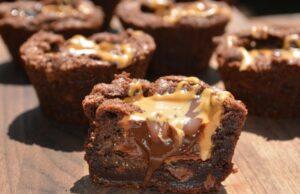 Chocolate Peanut Butter Brownie Bites: The Ultimate Fudgy Treat Chocolate Peanut Butter Brownie Bites