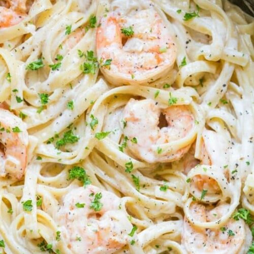Creamy Shrimp Pasta