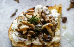 Burrata Toast with Sautéed Mushrooms An Easy, Elegant Appetizer Burrata Toast with Sautéed Mushrooms